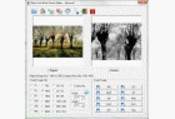 Black And White Photo Maker 1.0