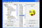 ConCon MSN Emoticons Retriever 2.2.8