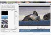 Contenta Video Browser 1.1