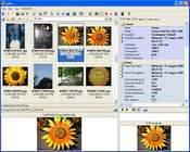 Exifer 2.1.5