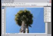 Tutoriel Adobe Photoshop la Retouche avec l'Outil<br/>Pièce 2.0