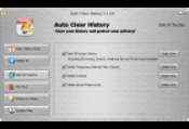 Auto Clear History -