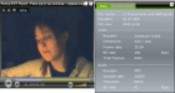 Fortop FLV Player 1.1 build 80204