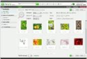 Fotolia Desktop 1.0.6