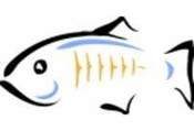 GlassFish Server OpenSource Edition 3.1