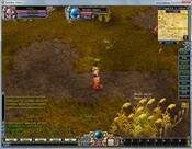 GodsWar Online 1.0.248