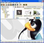 XnView Standard 1.96.5